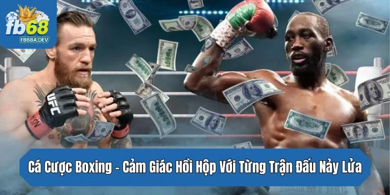 Cá Cược Boxing – Cảm Giác Hồi Hộp Với Từng Trận Đấu Nảy Lửa