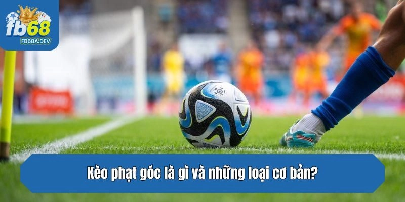 Kèo phạt góc là gì và những loại cơ bản?