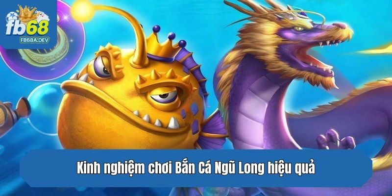 Kinh nghiệm chơi Bắn Cá Ngũ Long hiệu quả, nhận thưởng lớn