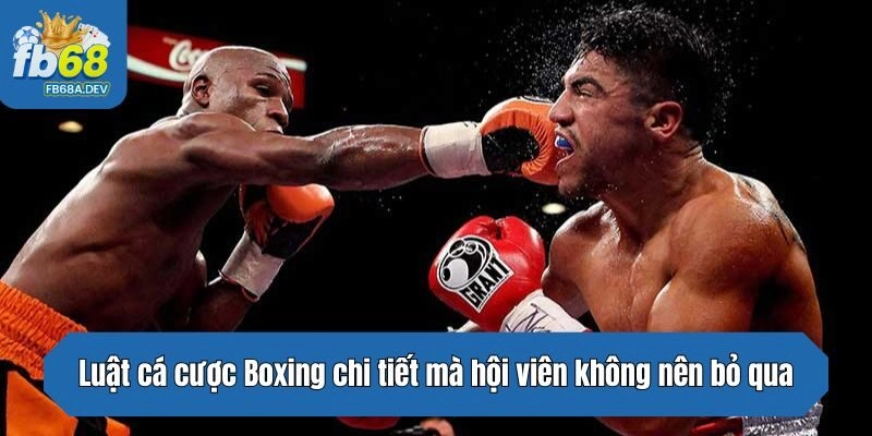 Luật cá cược Boxing chi tiết mà hội viên không nên bỏ qua