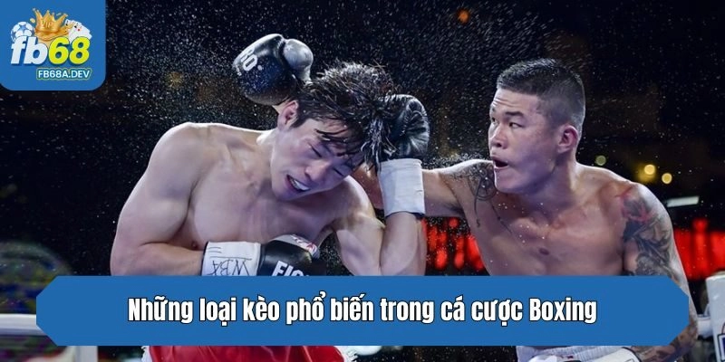Những loại kèo phổ biến trong cá cược Boxing