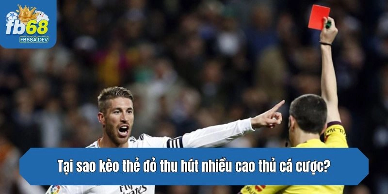 Tại sao kèo thẻ đỏ thu hút nhiều cao thủ cá cược?