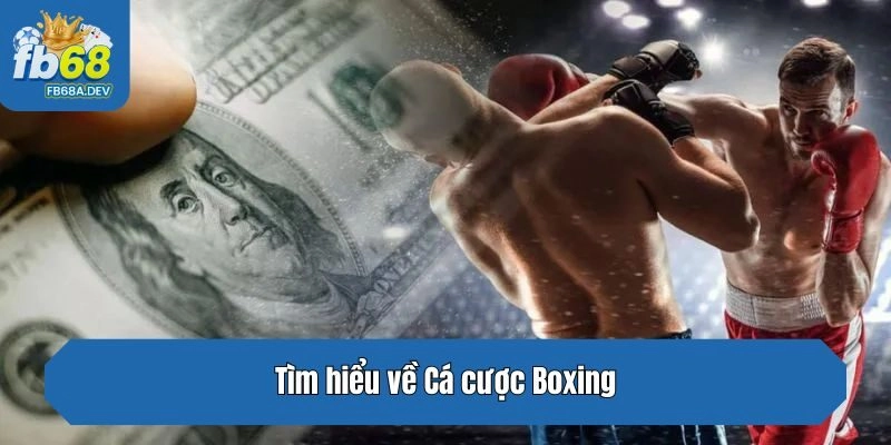 Tìm hiểu về Cá cược Boxing