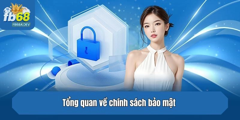 Tổng quan về chính sách bảo mật